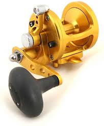 Avet  MXL5.8 - GOLD
