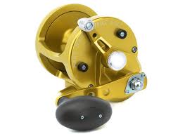 Avet  LX6.0 - GOLD